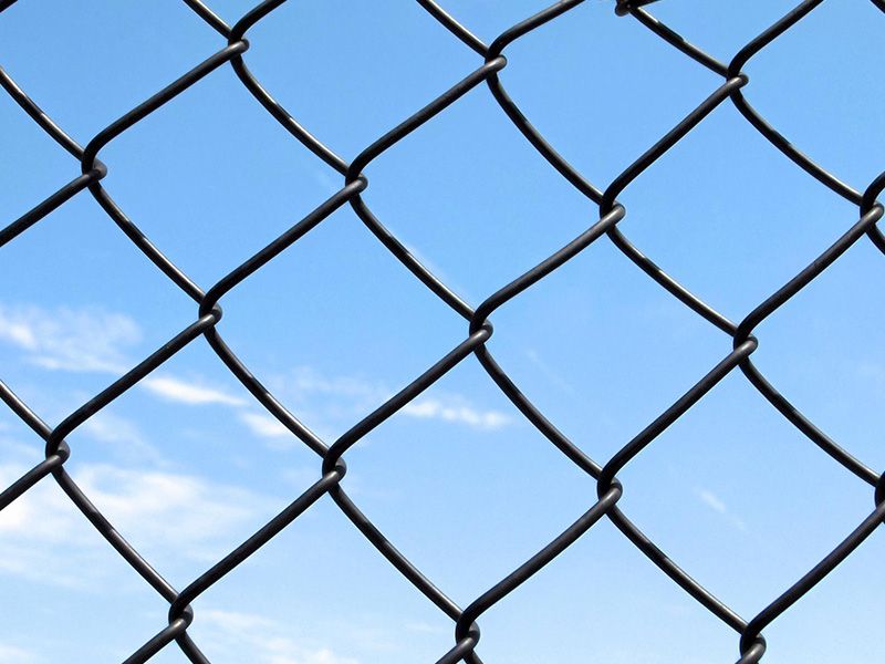 Chain Link Fence