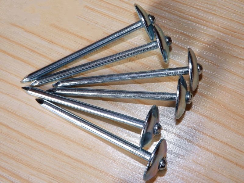 Roofing Nails